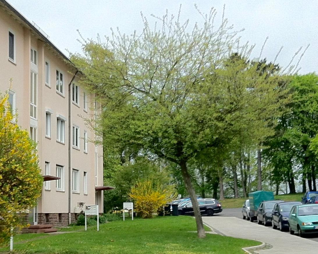 Ask Rooms Privatzimmer In Κάσελ Εξωτερικό φωτογραφία